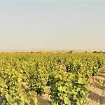 La Orana Nyaraló