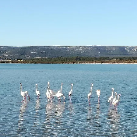 La Orana Дом отдыха