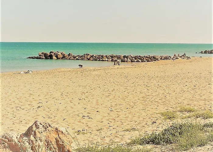 La Orana フロンティニャン